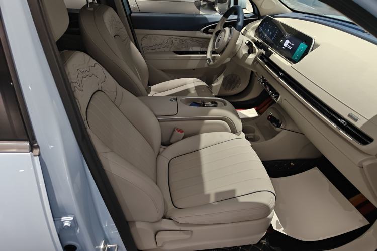 Used ORA Good Cat 2024 501 km Luxury Version Right Front Seat