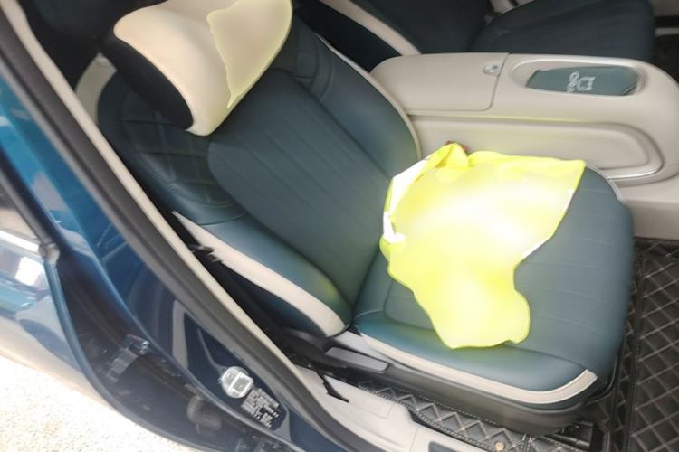 Used ORA Good Cat 2024 401 km Luxury Version Right Front Seat