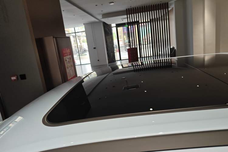 Used ORA Good Cat 2024 501 km Luxury Version Roof