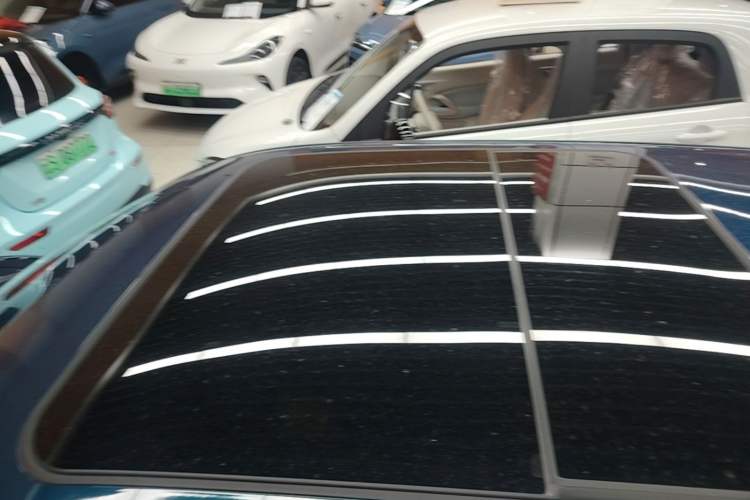 Used ORA Good Cat 2024 401 km Luxury Version Roof