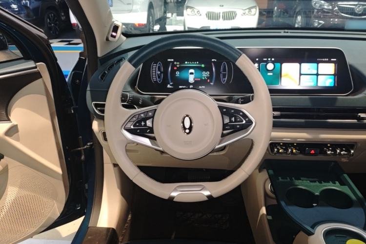 Used ORA Good Cat 2024 401 km Range Luxury Version 135 kW Steering Wheel