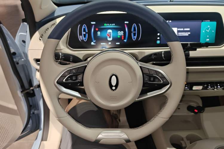 Used ORA Good Cat 2024 501 km Luxury Version Steering Wheel