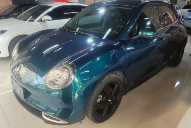 Used ORA Good Cat 2024 401 km Luxury Version