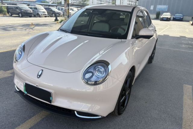 Used ORA Good Cat 2024 401 km Luxury Version