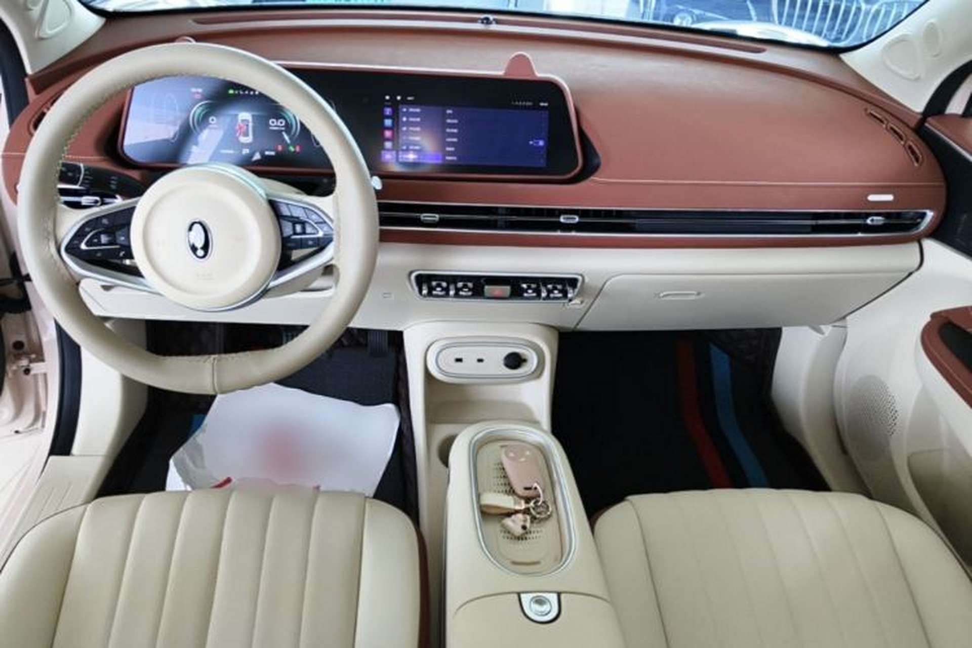 Used ORA Good Cat 2024 401 km Luxury Version Center Console