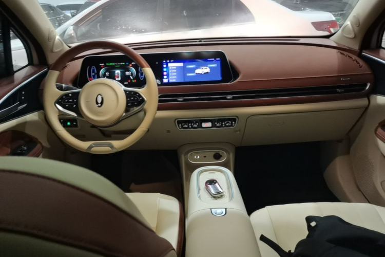 Used ORA Good Cat 2024 401 km Luxury Version Center Console