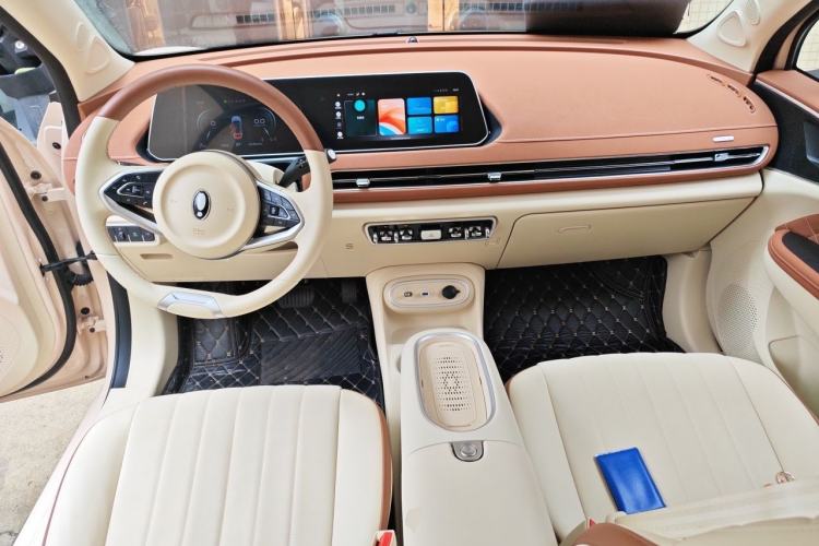 Used ORA Good Cat 2024 401 km Luxury Version Center Console