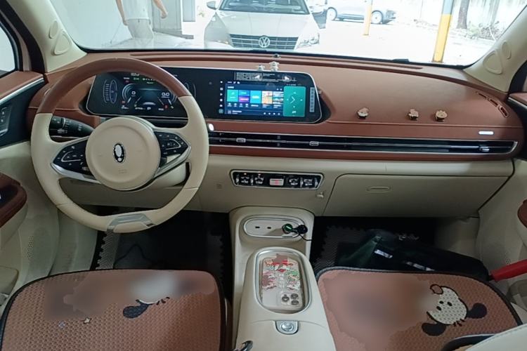 Used ORA Good Cat 2024 401 km Comfort Edition Center Console
