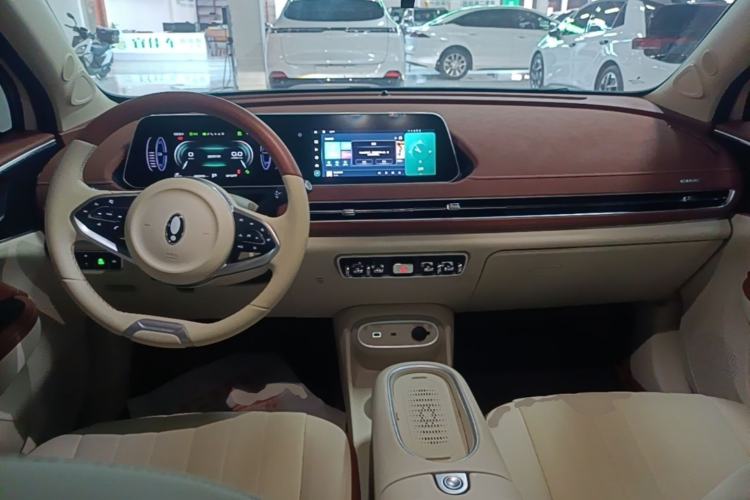 Used ORA Good Cat 2024 401 km Luxury Version Center Console