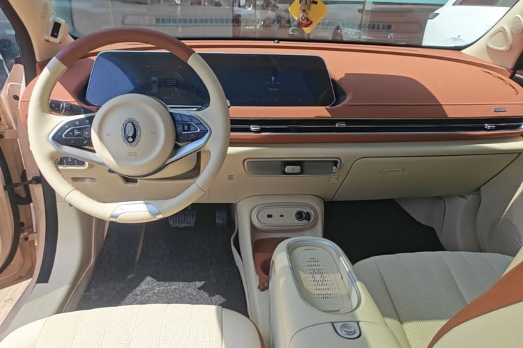 Used ORA Good Cat 2024 401 km Range Luxury Version 135 kW Center Console