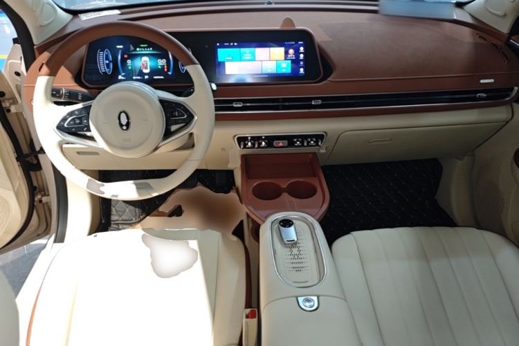 Used ORA Good Cat 2024 501 km Luxury Version Center Console