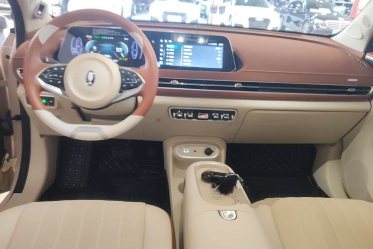 Used ORA Good Cat 2024 401 km Luxury Version 126 kW Center Console