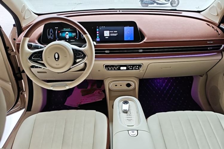 Used ORA Good Cat 2024 401 km Luxury Version Center Console