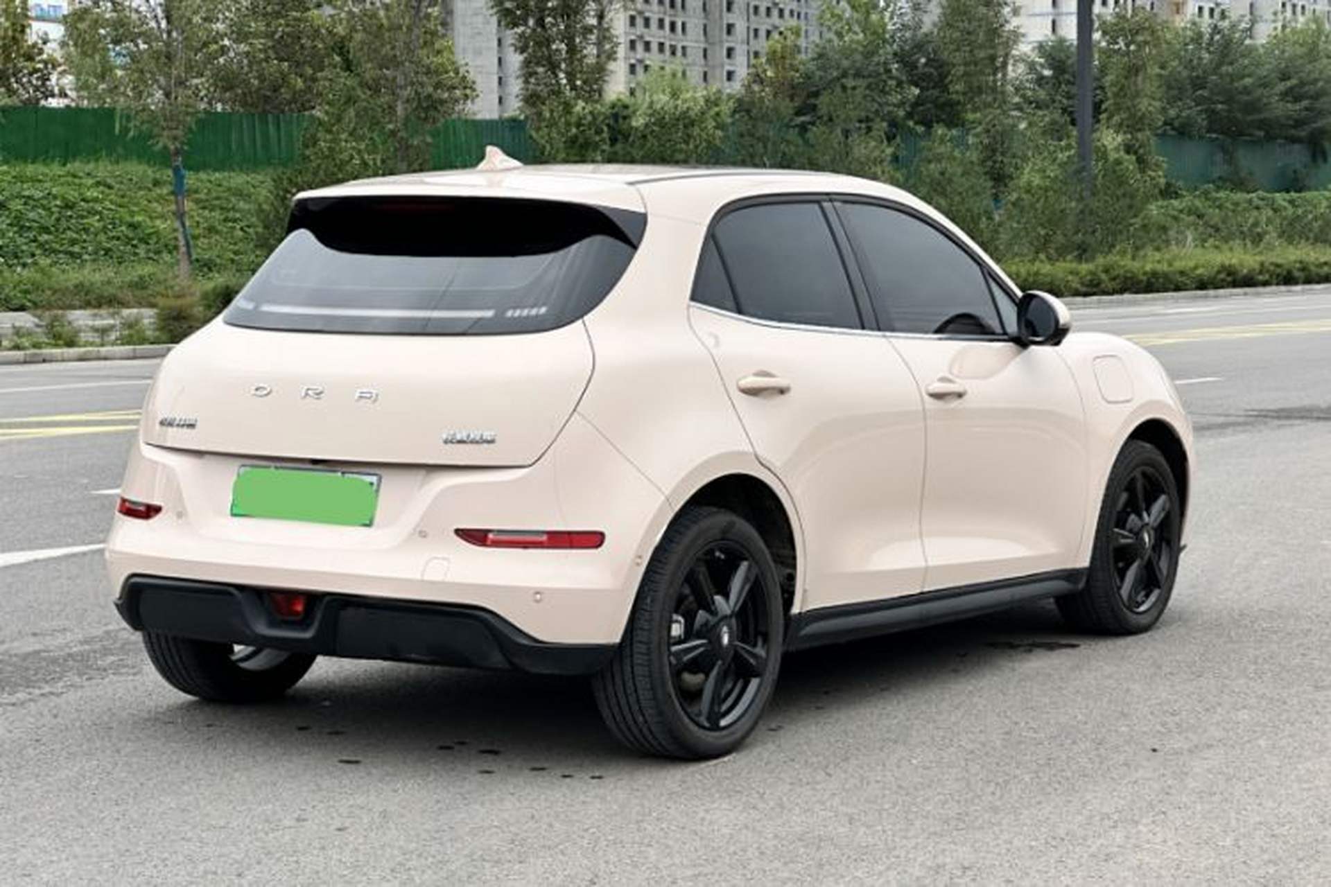 Used ORA Good Cat 2024 401 km Luxury Version 126 kW Exterior 1