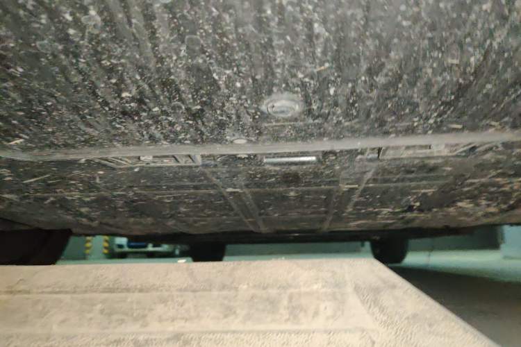 Used ORA Good Cat 2024 401 km Luxury Version Chassis Front