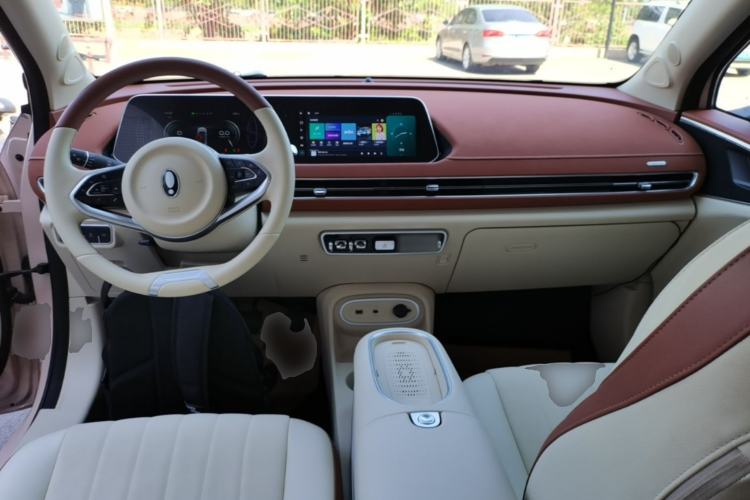 Used ORA Good Cat 2024 401 km Luxury Version Center Console