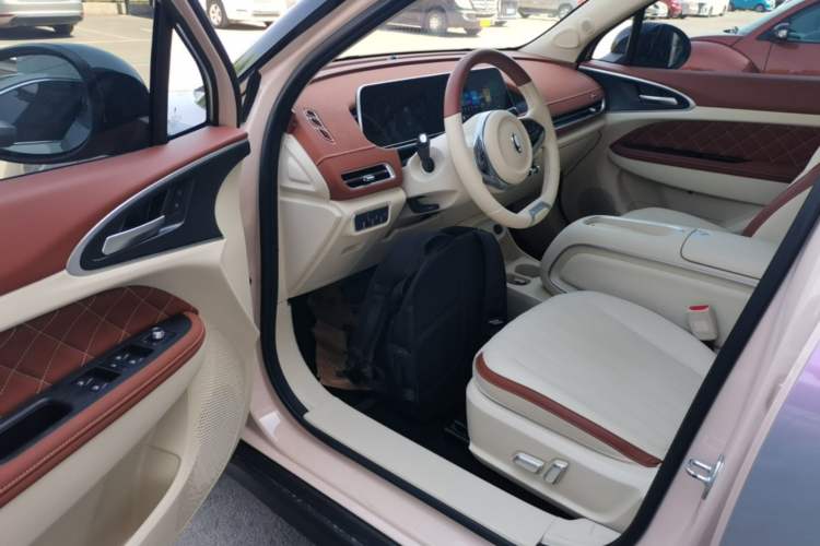 Used ORA Good Cat 2024 401 km Luxury Version Driver Seat