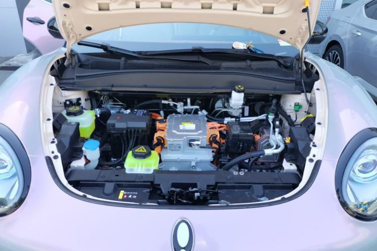 Used ORA Good Cat 2024 401 km Luxury Version Engine Bay