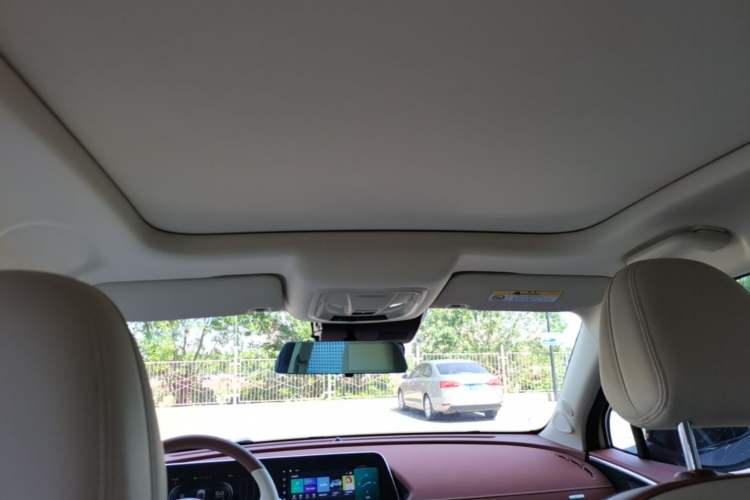 Used ORA Good Cat 2024 401 km Luxury Version Headliner