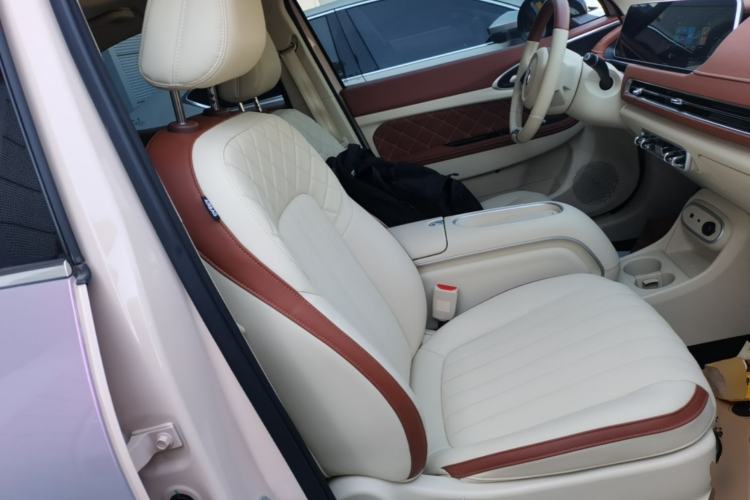 Used ORA Good Cat 2024 401 km Luxury Version Right Front Seat