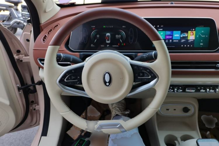 Used ORA Good Cat 2024 401 km Luxury Version Steering Wheel