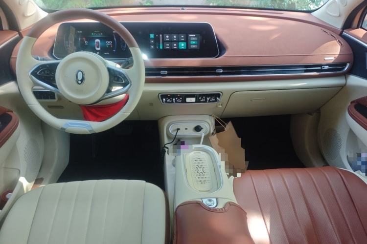 Used ORA Good Cat 2024 401 km Luxury Version Center Console