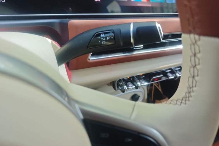 Used ORA Good Cat 2024 401 km Luxury Version Gear Lever