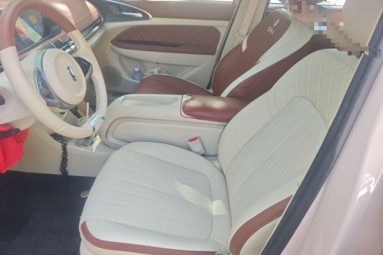 Used ORA Good Cat 2024 401 km Luxury Version Left Front Seat