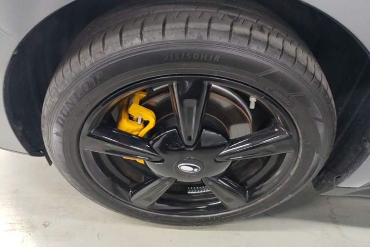 Used ORA Good Cat 2024 401 km Luxury Version 126 kW Left Front Wheel Hub