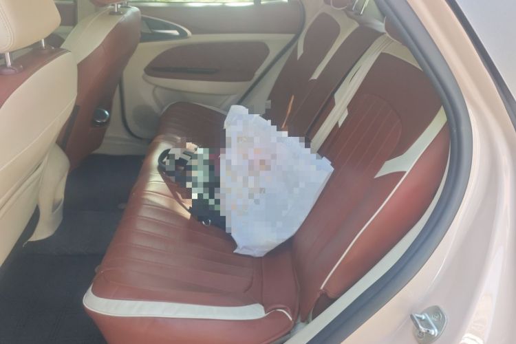Used ORA Good Cat 2024 401 km Luxury Version Left Rear Seat