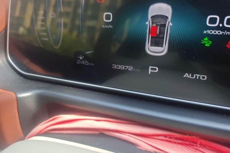 Used ORA Good Cat 2024 401 km Luxury Version Odometer Close Up