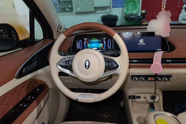 Used ORA Good Cat 2024 401 km Range Luxury Version 135 kW Steering Wheel