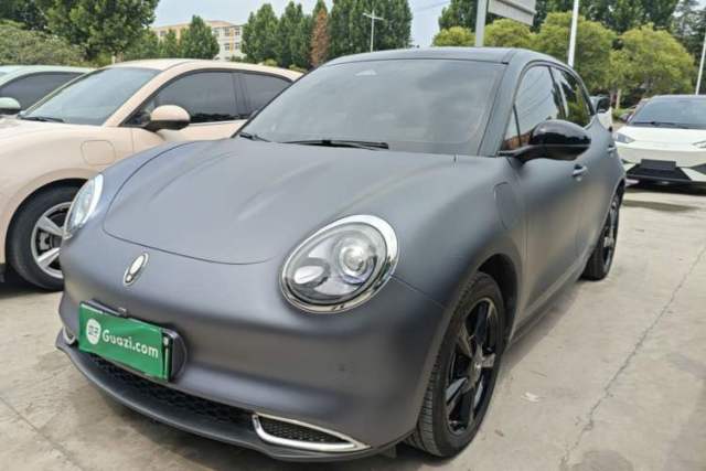 Used ORA Good Cat 2024 401 km Luxury Version