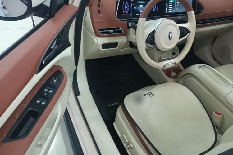Used ORA Good Cat 2024 401 km Luxury Version Driver Seat