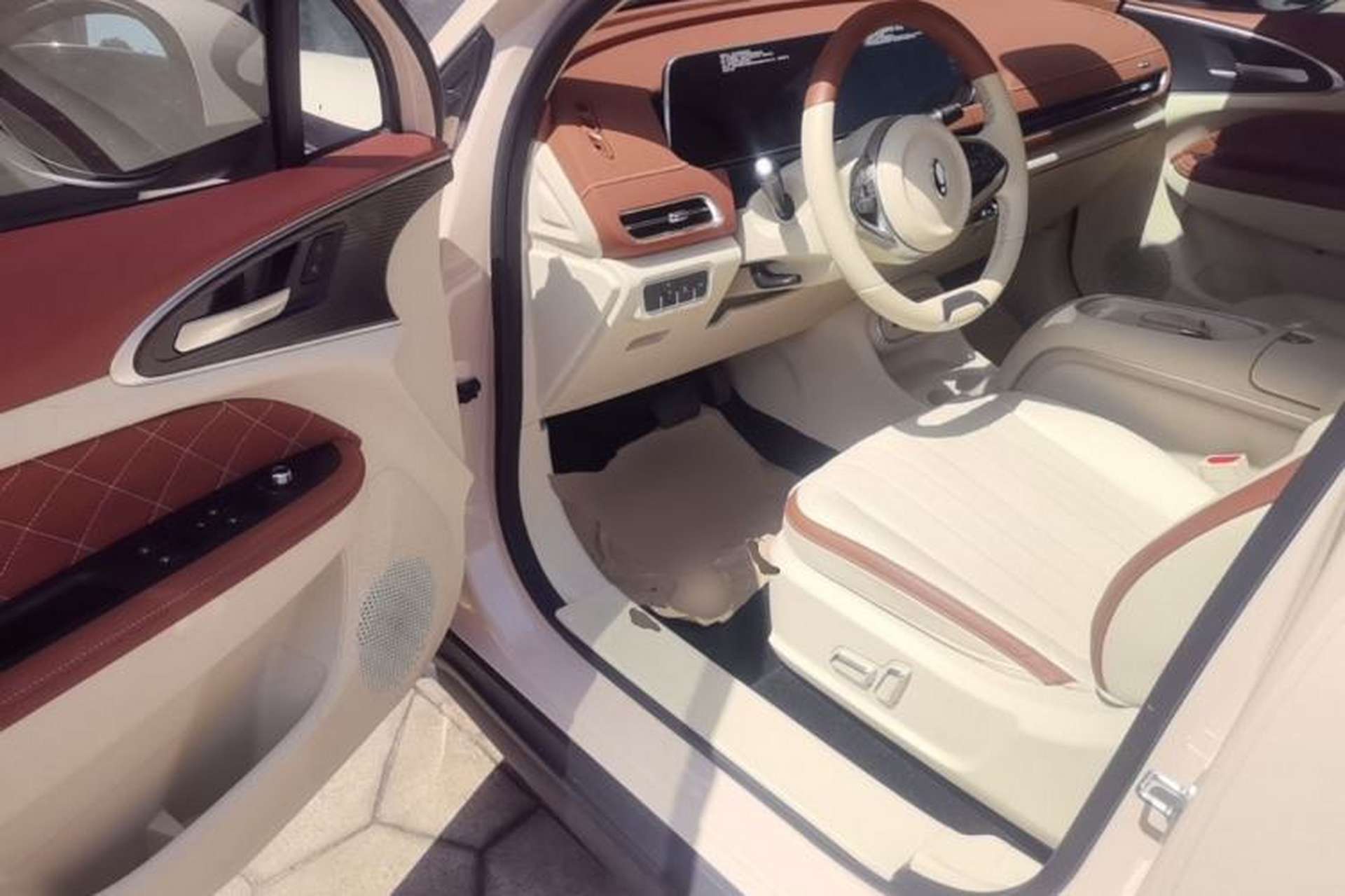 Used ORA Good Cat 2024 401 km Luxury Version Driver Seat