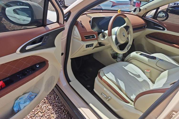Used ORA Good Cat 2024 401 km Luxury Version Driver Seat