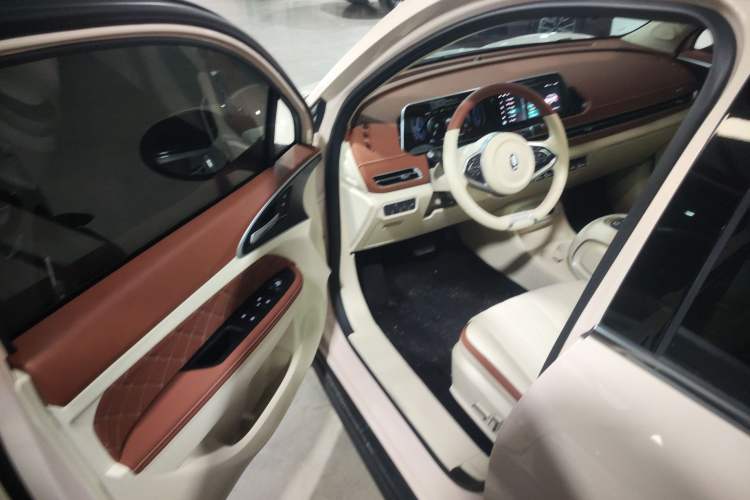 Used ORA Good Cat 2024 401 km Luxury Version Driver Seat