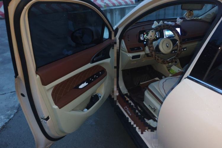 Used ORA Good Cat 2024 401 km Luxury Version Driver Seat