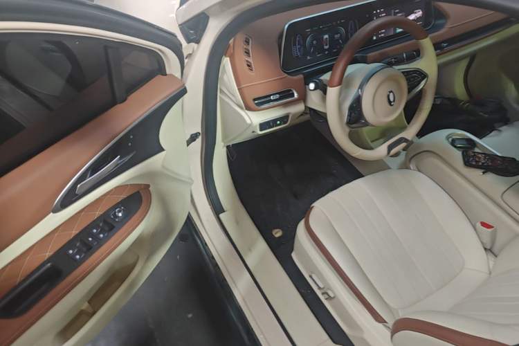 Used ORA Good Cat 2024 501 km Luxury Version Driver Seat