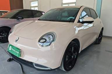 Used ORA Good Cat 2024 401 km Luxury Version