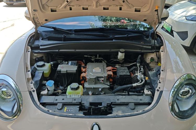 Used ORA Good Cat 2024 501 km Luxury Version Engine Bay