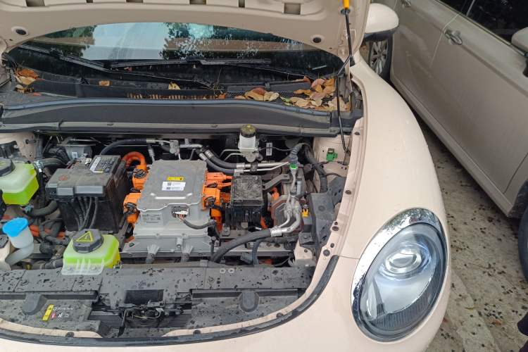 Used ORA Good Cat 2024 401 km Luxury Version Engine Bay Left