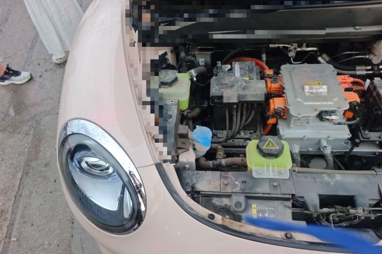 Used ORA Good Cat 2024 401 km Luxury Version Engine Bay Right