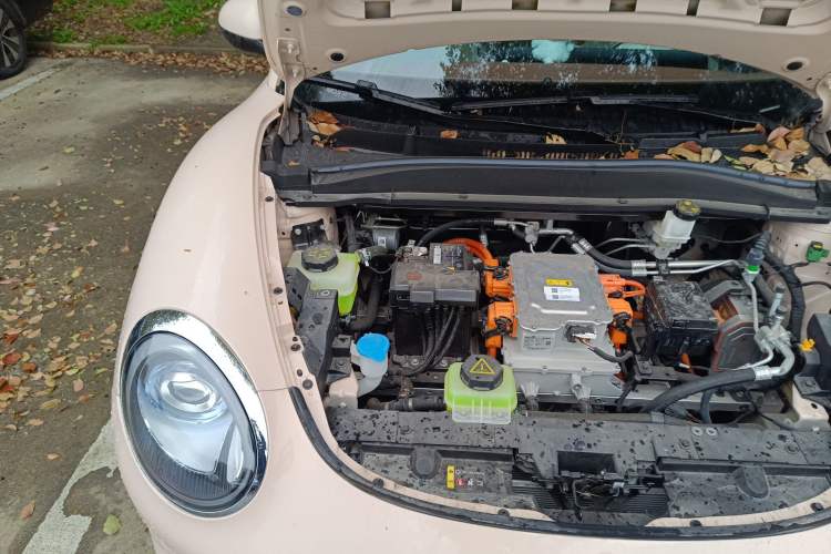 Used ORA Good Cat 2024 401 km Luxury Version Engine Bay Right