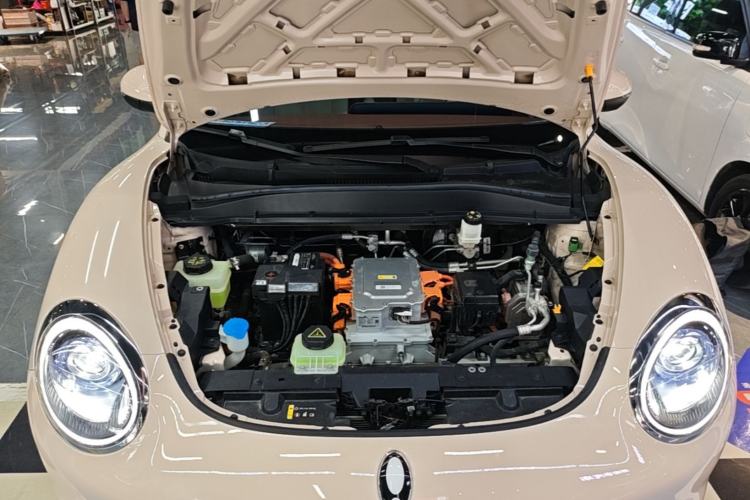 Used ORA Good Cat 2024 501 km Luxury Version Engine Bay