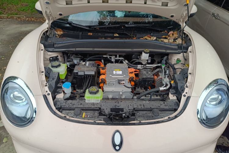 Used ORA Good Cat 2024 401 km Luxury Version Engine Bay