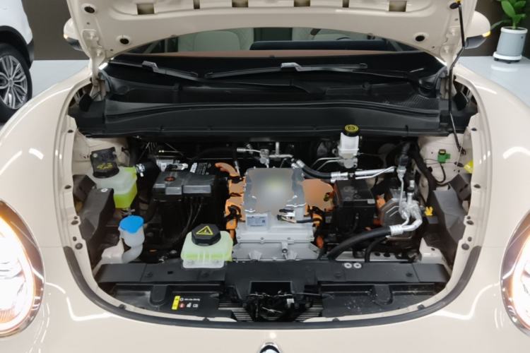 Used ORA Good Cat 2024 401 km Luxury Version Engine Bay