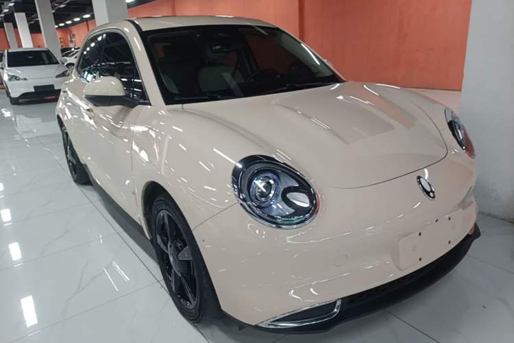 Used ORA Good Cat 2024 401 km Luxury Version Exterior 1
