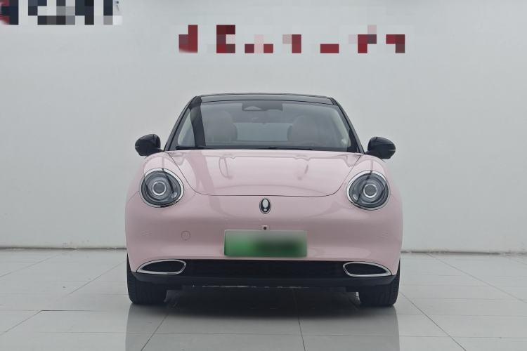 Used ORA Good Cat 2024 401 km Luxury Version 126 kW Exterior 1