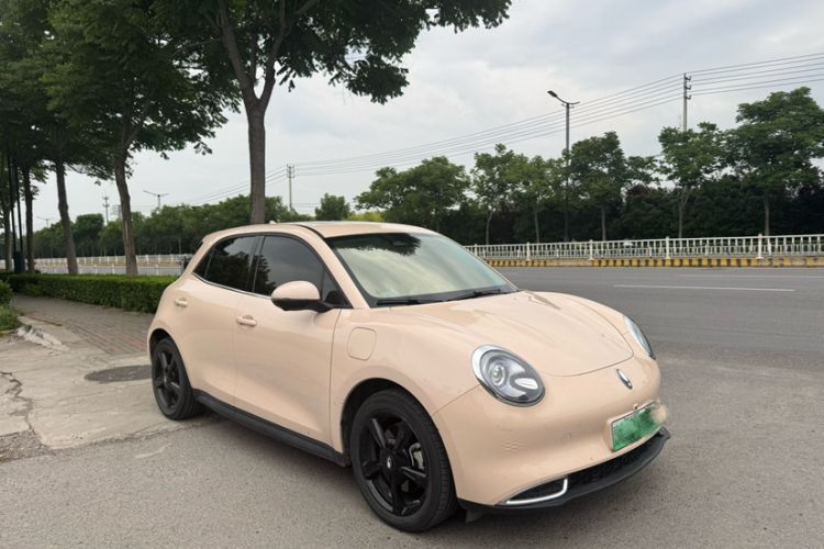 Used ORA Good Cat 2024 501 km Luxury Version Exterior 1